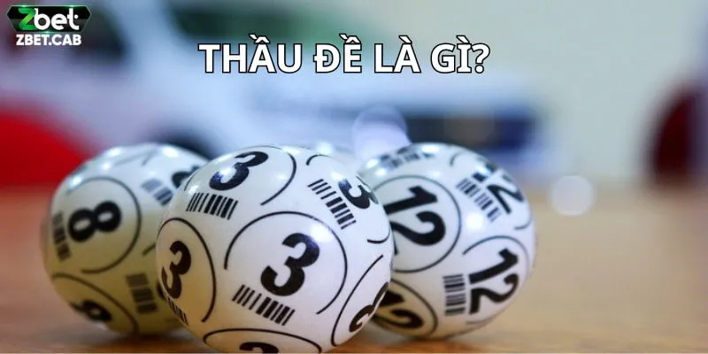 Thầu đề là gì